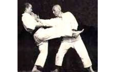 Coupe de France Wado -Ryu